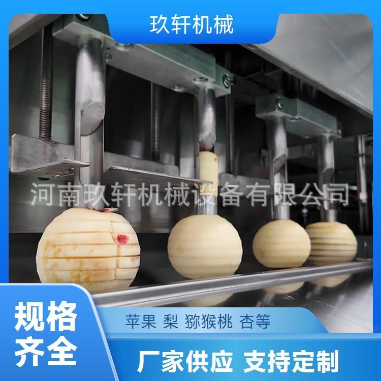 四工位梨削皮去核切片机苹果削皮去核分瓣机