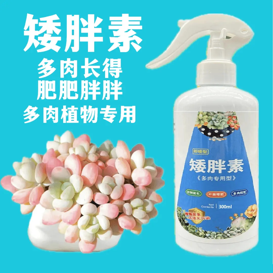 多肉专用矮胖素喷剂植物营养液绿植复合肥料促生长促侧芽茁壮家叶