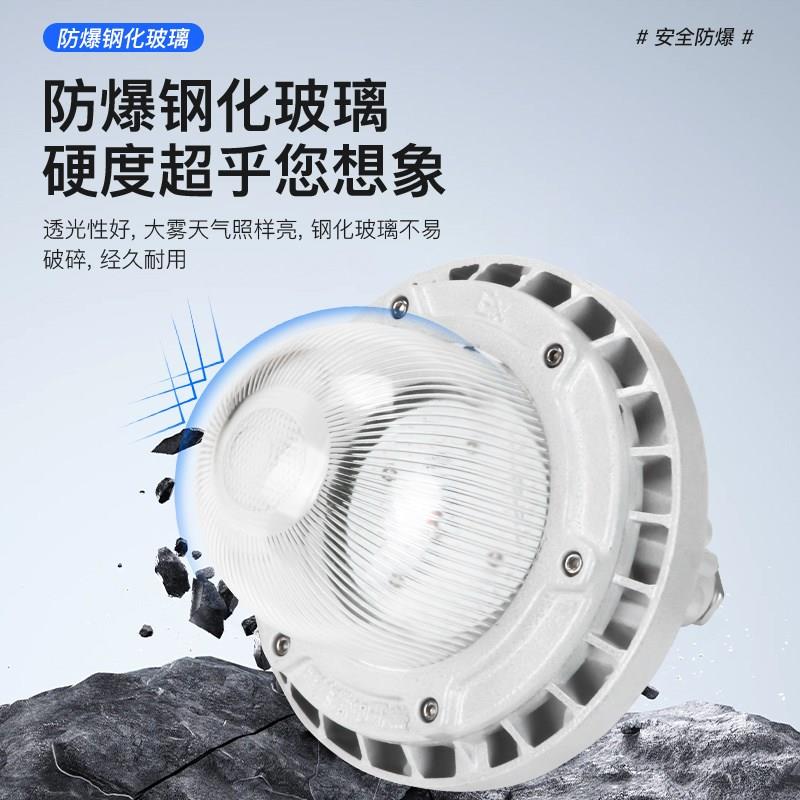 LED防爆灯工厂房车间照明灯灯罩仓库灯隔爆型灯加油站专用灯超亮