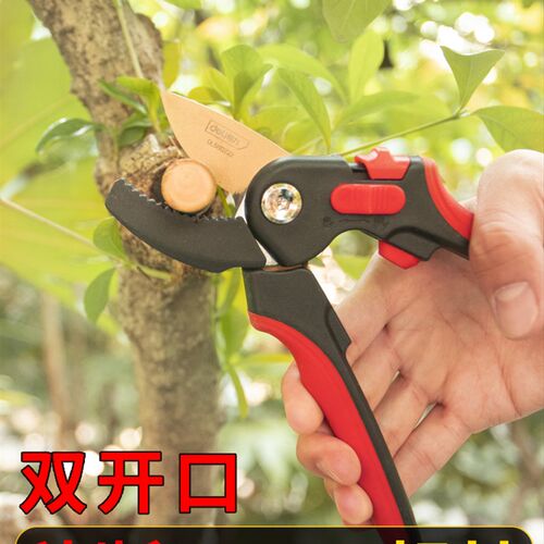 修枝剪刀园林花艺修剪树枝专用剪刀剪枝果树修枝剪刀园艺剪子
