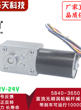5840-3650直流无刷涡轮蜗杆减速电机 12V24V无刷电机自锁刹车电机