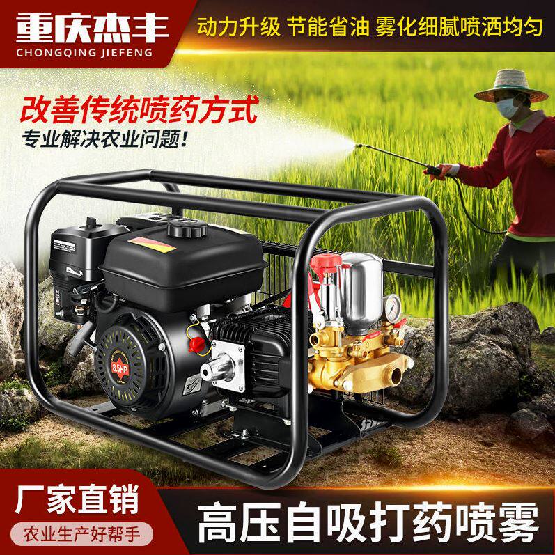 德国进口汽油喷药机农用高压喷药泵推车担架式喷药机三缸柱塞泵小