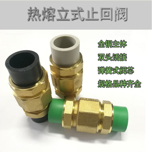 铜立式止回阀ppr止回阀4分6分1寸单向阀止逆阀ppr50 40立式止回阀