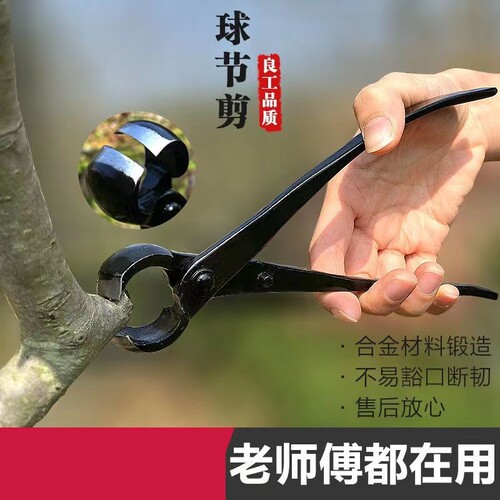 盆景造型盆栽树瘤修枝剪叶芽剪园艺制作养护球节剪专用工具球钳