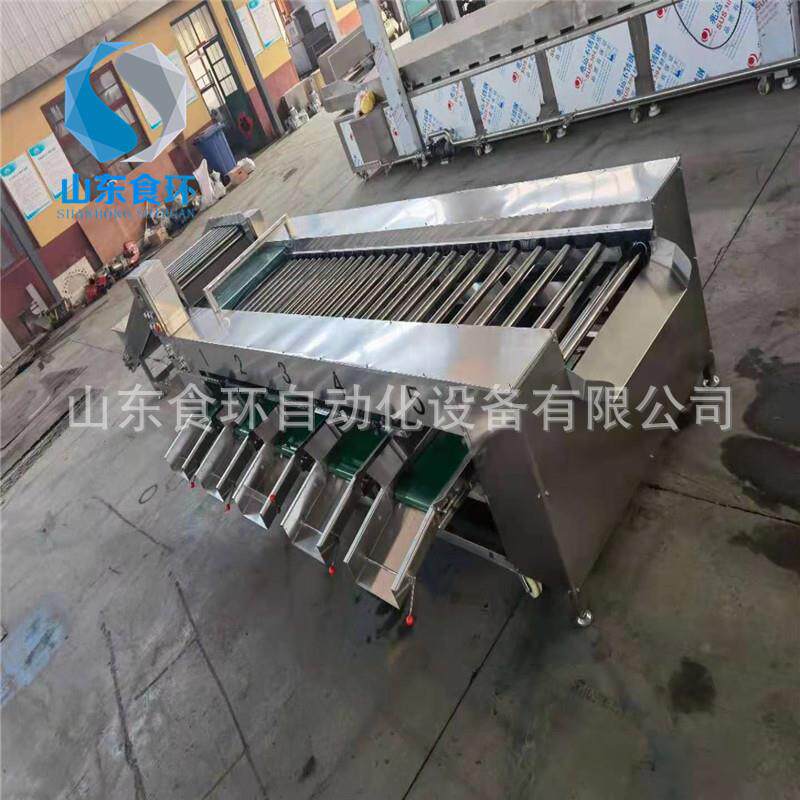 甜橙沃柑分级机热带水果分选设备厂家山竹百香果滚杠分级机