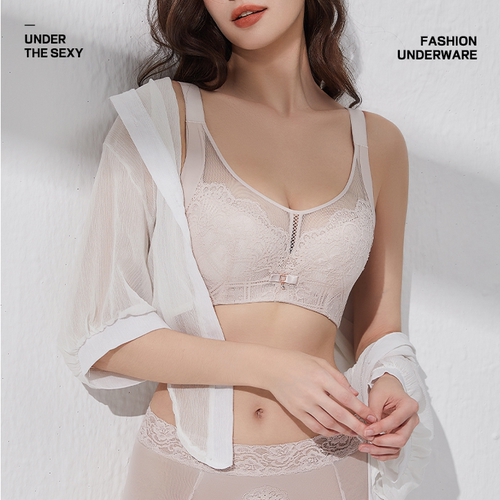设计师定制【羽翼蕾丝4.0】大胸显小聚拢性感蕾丝文胸罩DJ0701L