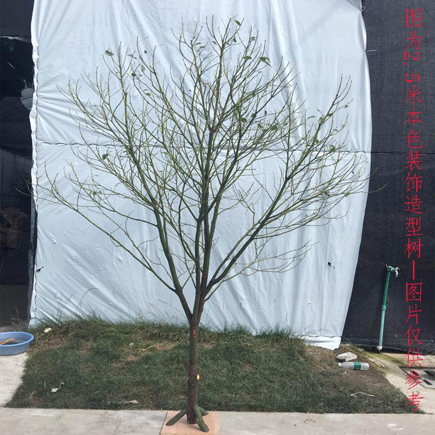 天然干树树杆装饰枯树枝型树白色许愿树造造婚庆道PTB具落地摆景