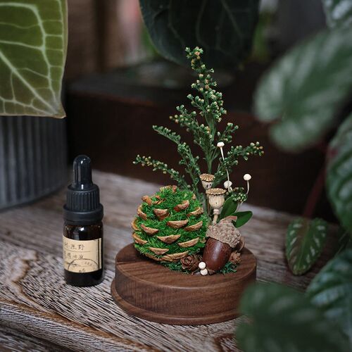 天然植物松果青松小森林香薰玻璃罩植物礼盒室内桌面扩香器摆件