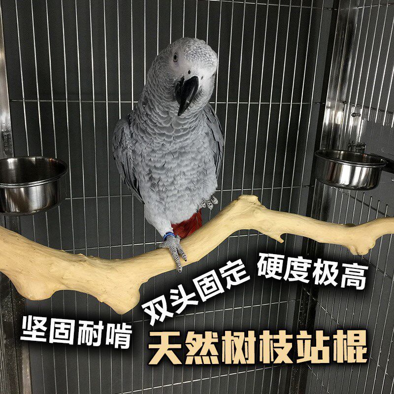鹦鹉站棍站杠栖杠天然坚固耐啃无毒环保树枝天然造型鸟笼装饰配件图片