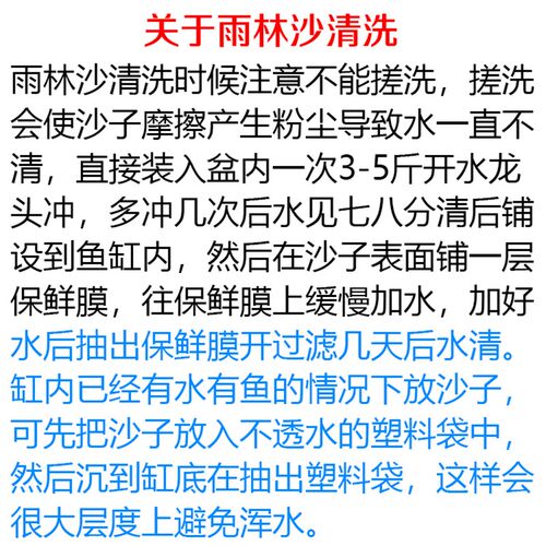 雨林沙南美三湖慈鲷鼠沙埃及七彩雷龙造景沙化妆沙萨伊底沙鱼缸沙