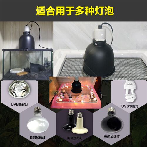 迷你刺猬爬虫灯罩5.5寸变色龙深桶陶瓷蜥蜴陆龟宠物加热爬箱网箱