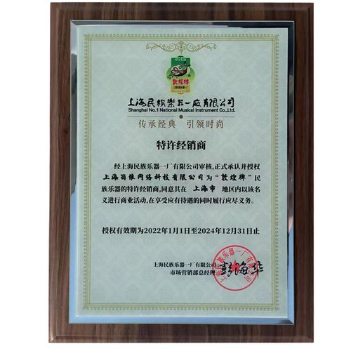 敦煌牌古筝C型弦专业演奏琴弦C型古筝弦