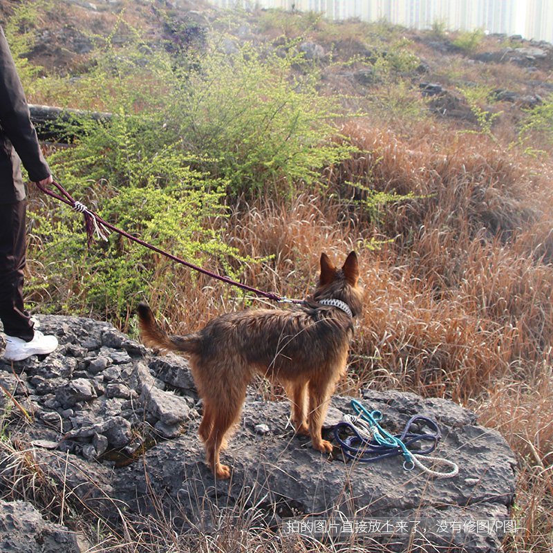手工编织 牵引绳中型犬 大型犬狗链子 个人订制金毛遛狗绳 拴狗绳