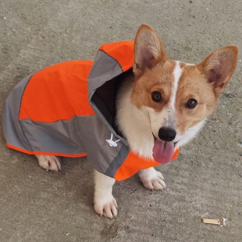双层大狗雨衣防寒户外狗狗冲锋衣披风式宠物用品