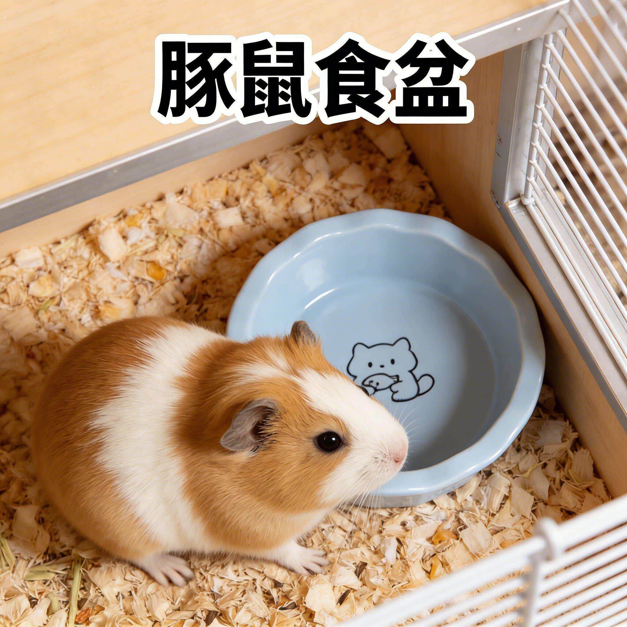 豚鼠食盆专用陶瓷小碗防固定打翻混合粮喂食器神器可爱的粮碗水碗