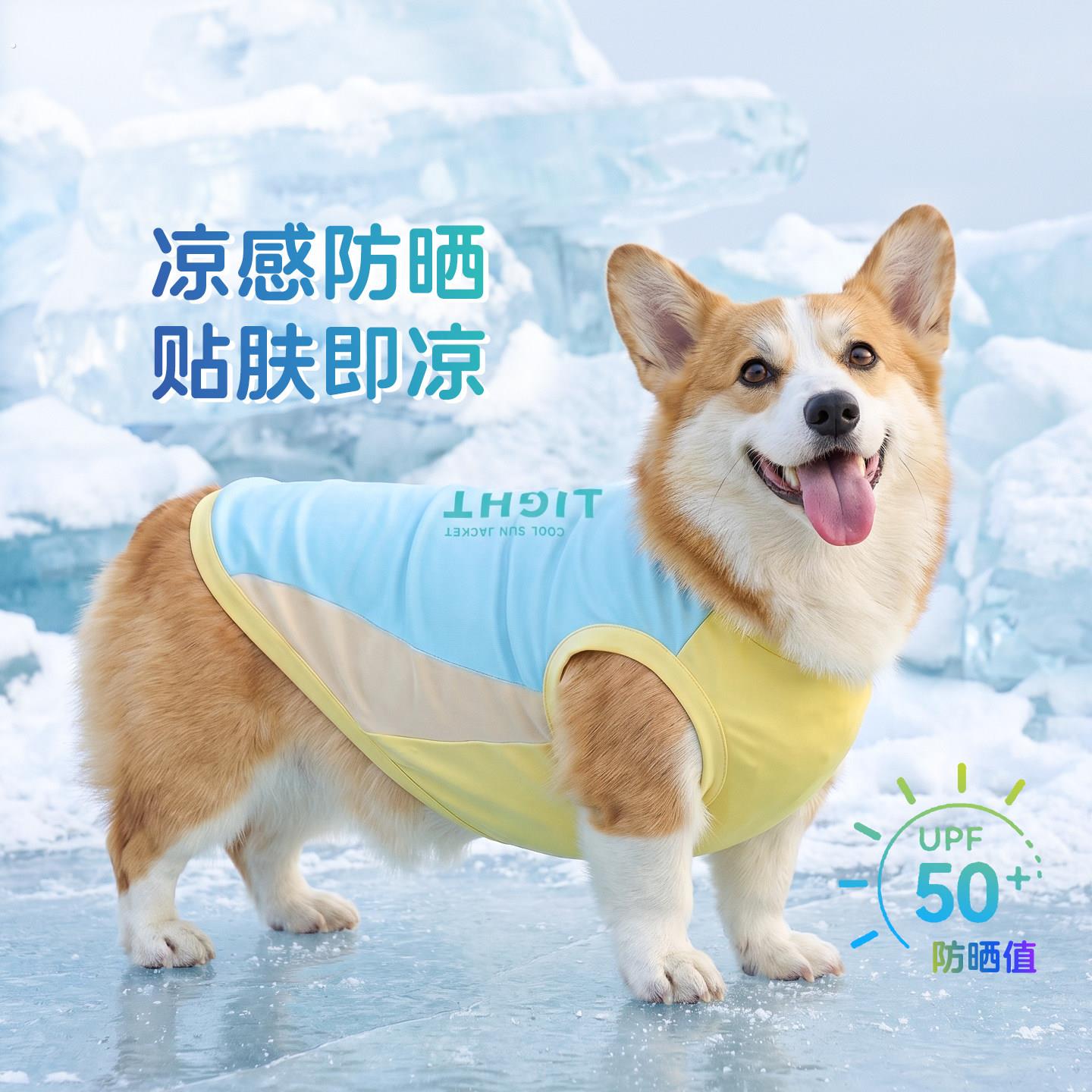 狗狗夏日背心夏天凉感防晒衣宠物衣服凉凉衣柯基柴犬2026新款睡衣
