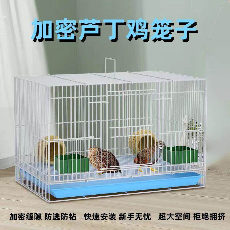 养芦丁鸡笼子饲养专用笼家用室内大号雏鸡雏鸭小鸭小鸡宠物笼加密