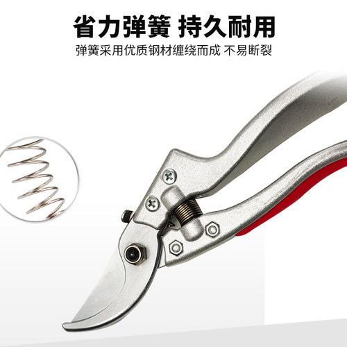 朱铁匠V8SK5园艺园林剪刀修枝剪整枝树枝剪花剪工具粗枝果枝剪