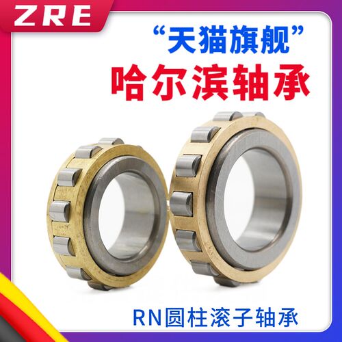 减速机轴承RN203 204 205 206 207 208 209 210 212 213 214 215M