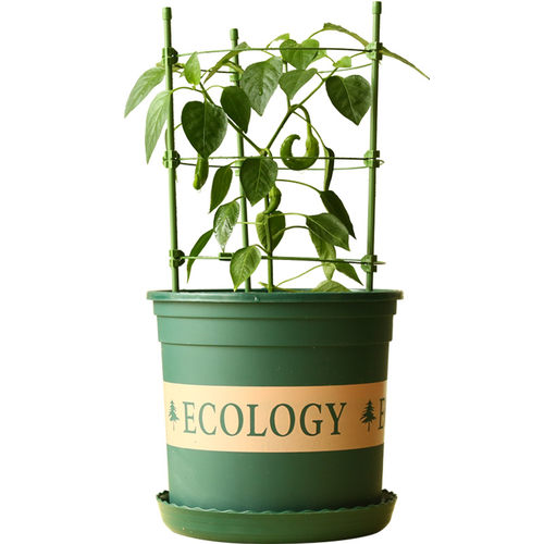 花架爬藤架子月季花支架绿萝植物盆支撑杆铁线莲攀爬园艺固定客厅
