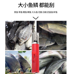 渔公乐鱼公乐充电式冲电刮鳞机杀鱼器杀鱼机包邮充电式刮鱼鳞机