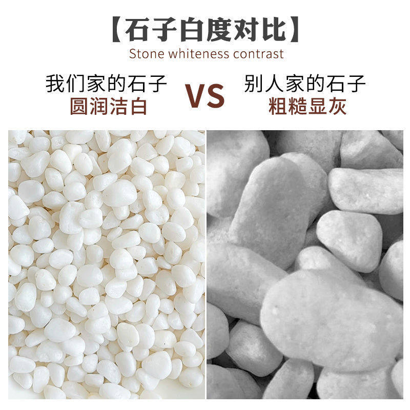 120斤白色石子小鹅卵石庭院铺路铺地装饰石头阳台花园白石子造景