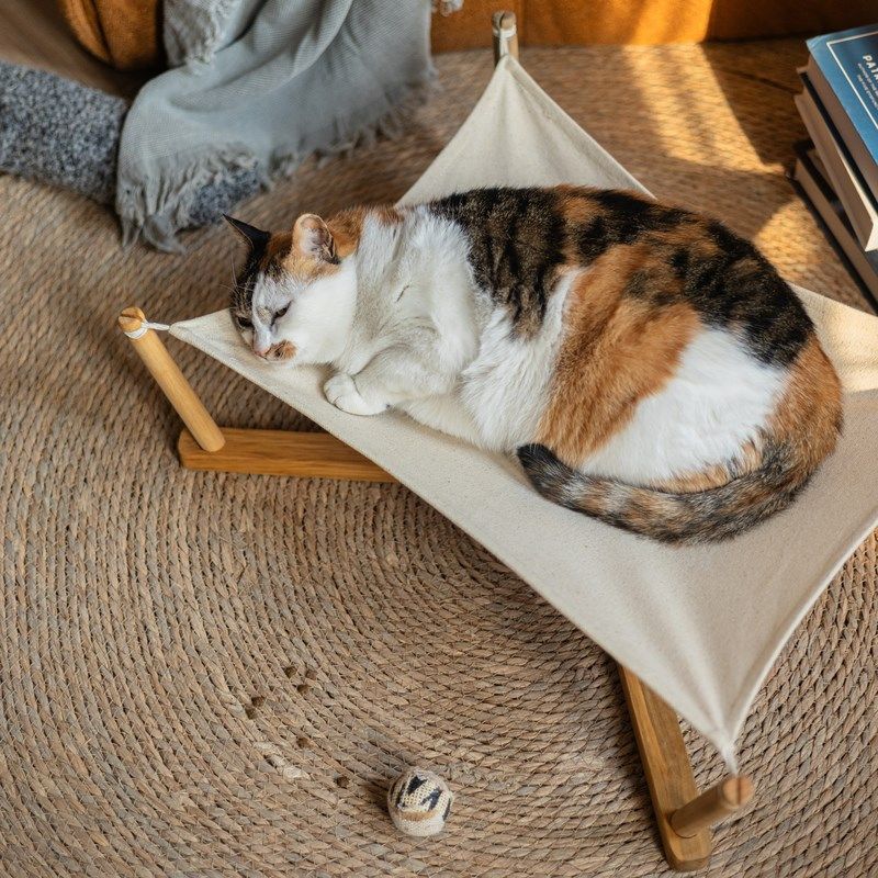 猫床宠物床猫咪吊床实木猫窝帆布四季通用小型犬狗窝可拆洗狗狗床