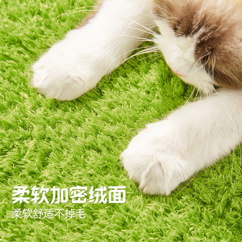 喵想树牛油果猫窝四季通用封闭式安全感可爱猫爬架猫抓板一体猫床