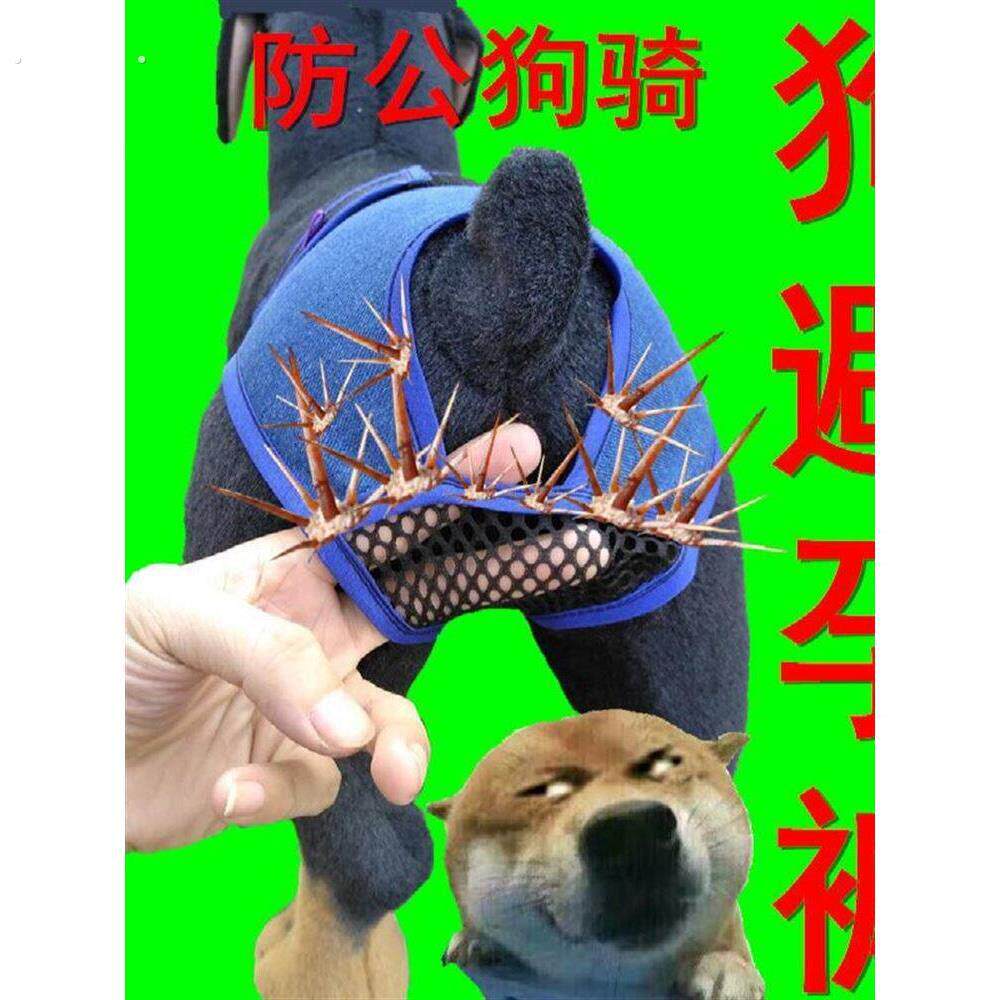 母狗防交配神器狗发情裤防交配裤避孕裤狗狗生理裤可排泄裤防骚扰