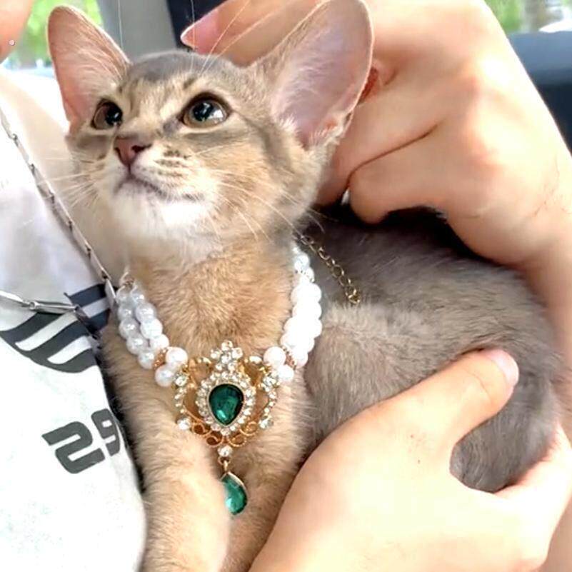 奢华双层覆古宝石珍珠项炼 炼 公主猫首饰 宠物项圈