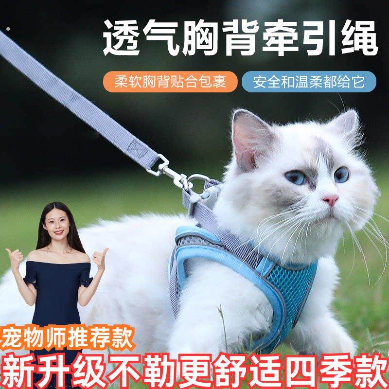 猫咪牵引绳防挣脱外出专用透气胸背牵引绳春夏外出背心式溜猫神器