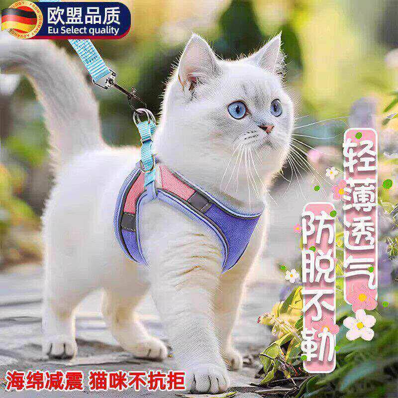 猫咪牵引绳防挣脱外出专用2025新款溜猫绳猫猫背带背心式胸背猫咪