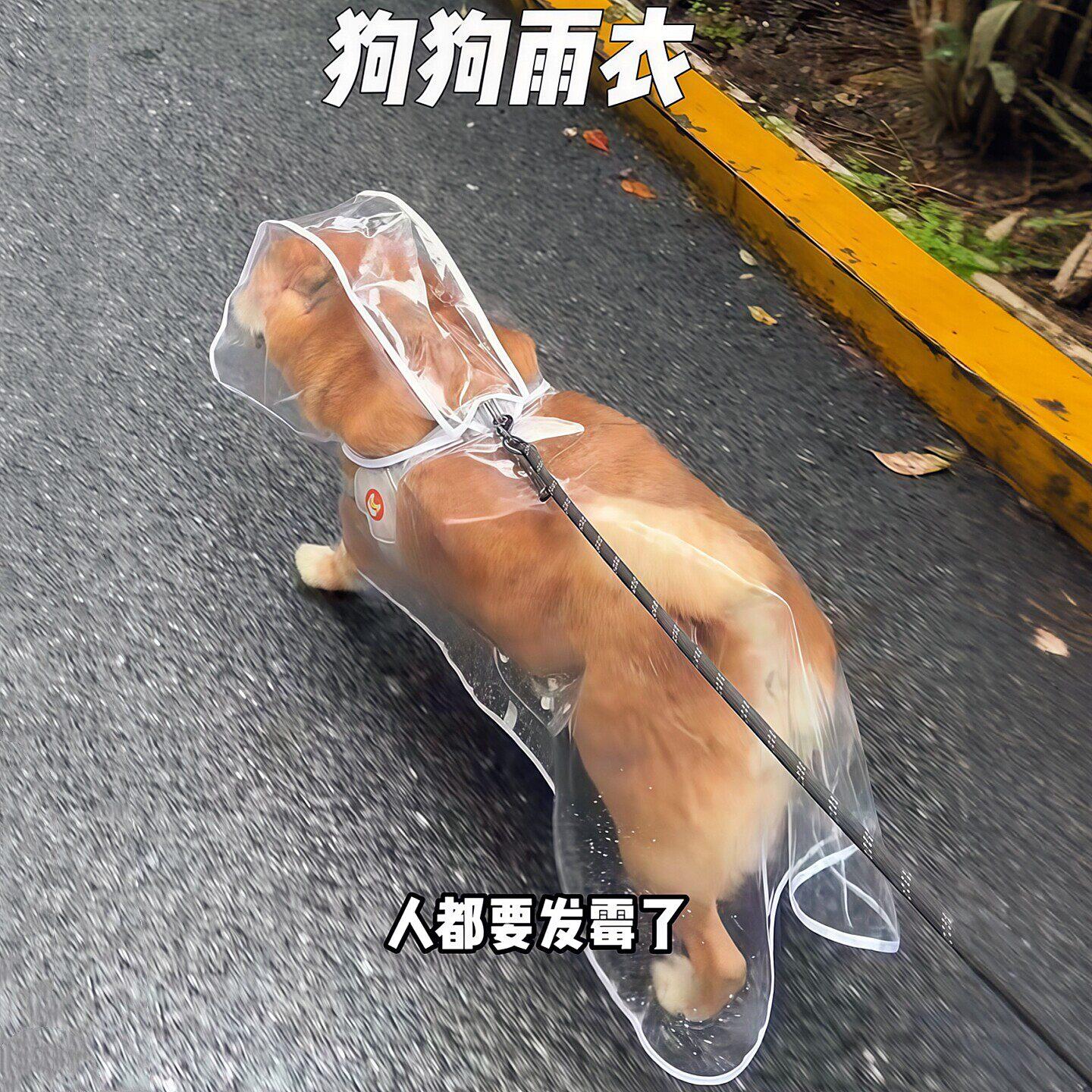 【小狗雨衣】宠物斗篷披风外出防水衣服猫咪雨衣小中大型犬通用