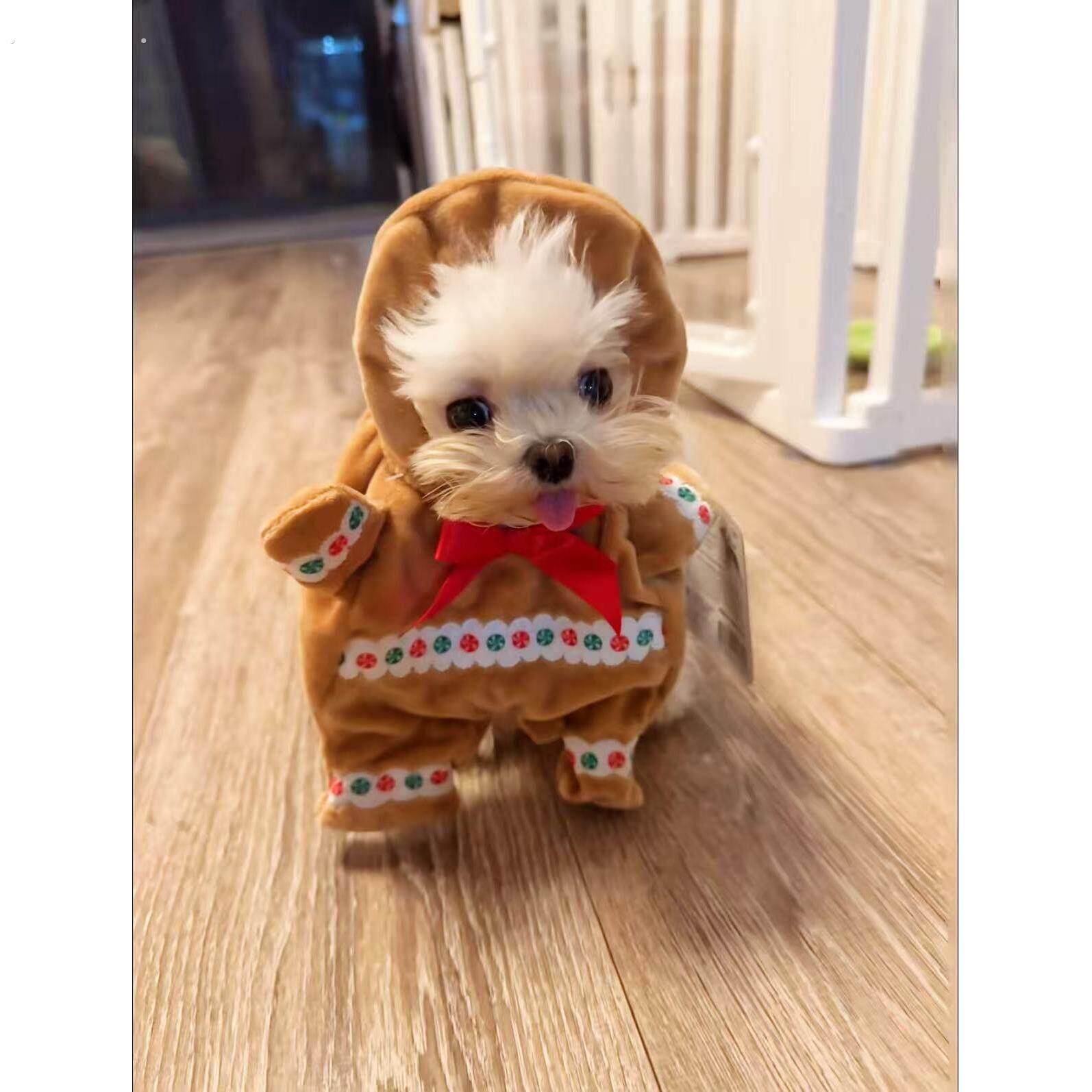 姜饼人狗狗衣服耶诞宠物趣味变装秀直立服小型犬创意拍照服装道具