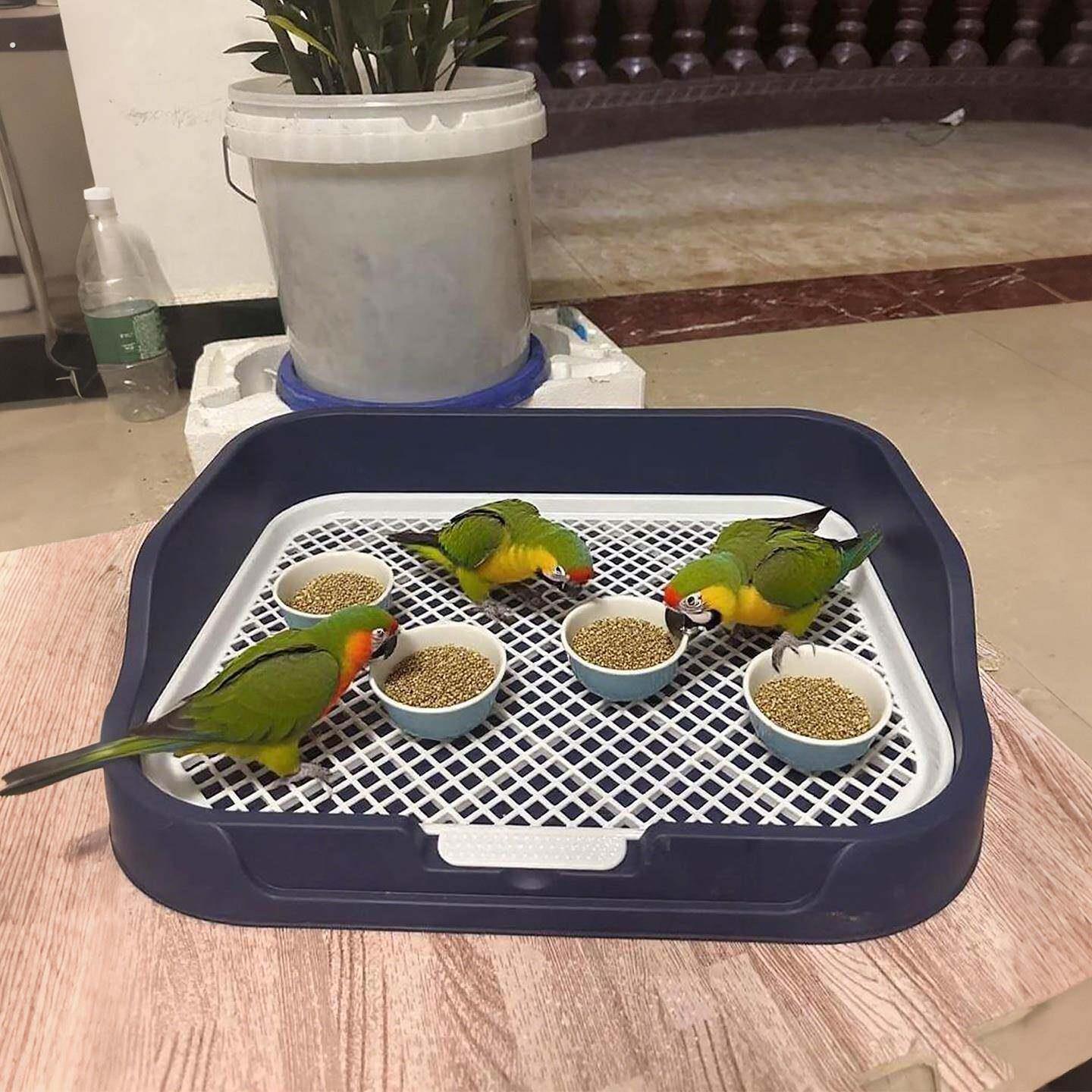 鹦鹉食盒喂食器餐垫超大空间漏便防溅洒网格餐盘多鸟可用宠物用品