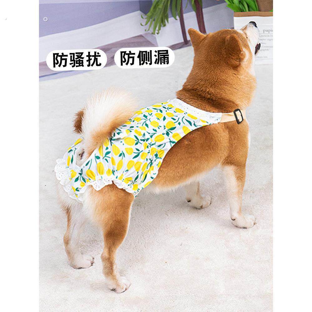 宠物狗狗生理裤母狗专用月经裤安全裤姨妈裤女狗防骚扰防交配神器