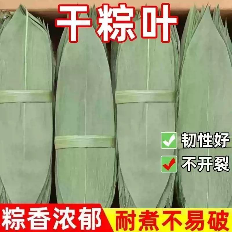 正宗干粽叶端午节粽子叶家用新鲜粽叶端午粽子天然竹叶叶子棕