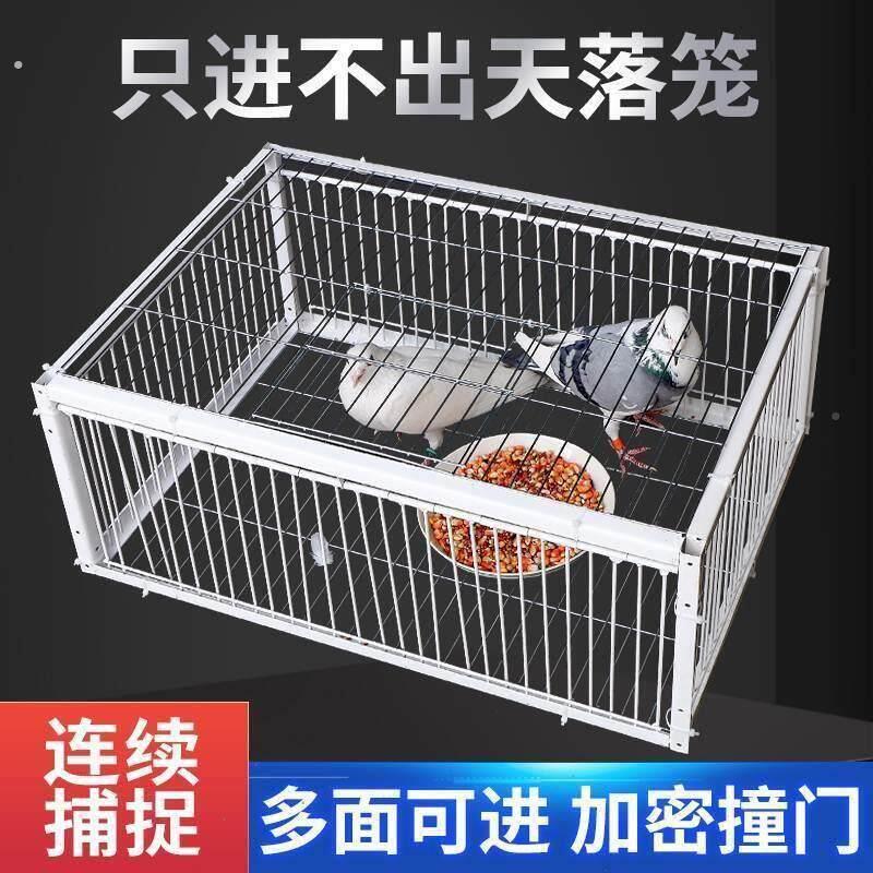 子新款密落笼鸽天子笼加厚加自动收鸽神器活络门撞门户外只进2187