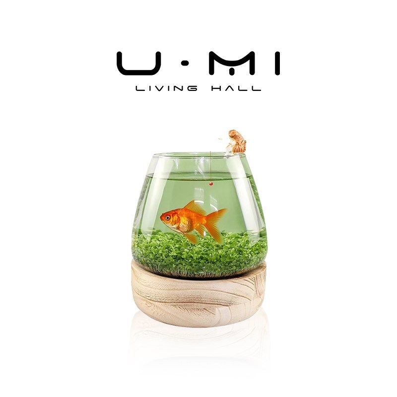 U Mi LIVING绿萝花瓶水培大口径植物玻璃插花盆鱼缸客厅摆件品