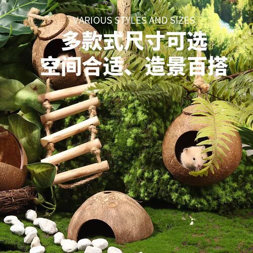 仓鼠蜜袋鼯椰子窝手工椰子壳小动物木质躲避窝金丝熊鹦鹉鸟窝用品