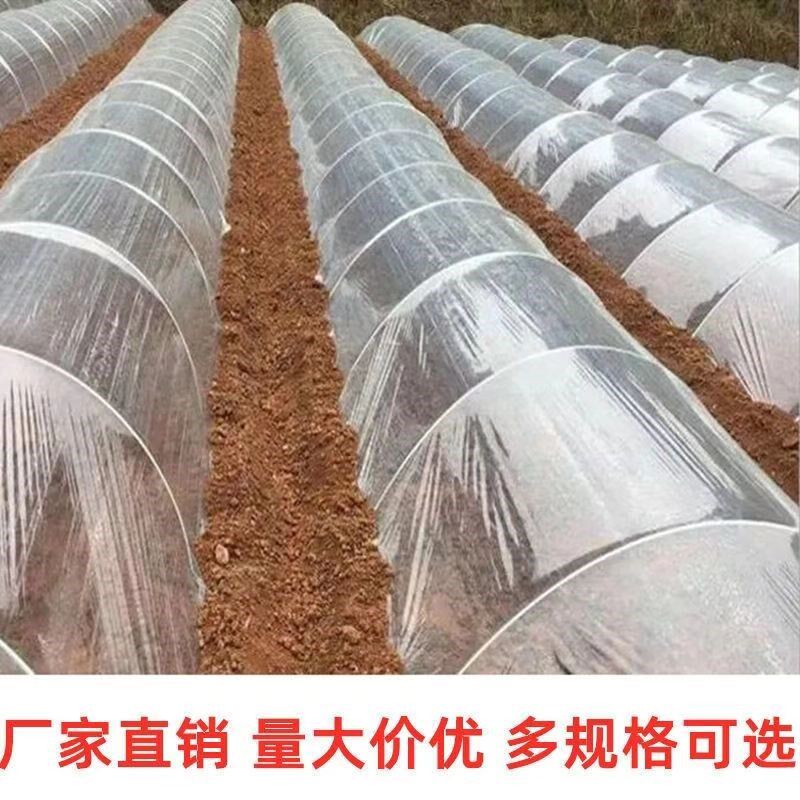 大棚内膜二膜二层膜中膜小拱棚透明白膜砂糖橘1.4-6s保温塑料薄膜