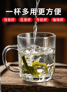 招待客人的杯子玻璃杯家用耐高温高档玻璃茶杯带把泡茶水杯大容量