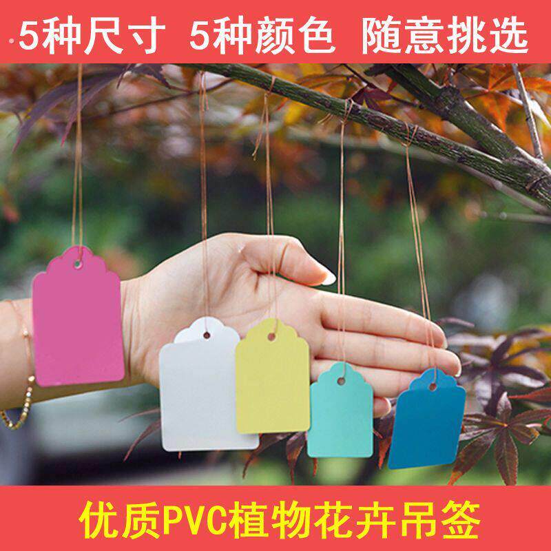 可书写果树塑料标签挂牌防水记号吊牌苗木植物吊签园艺标识牌带线
