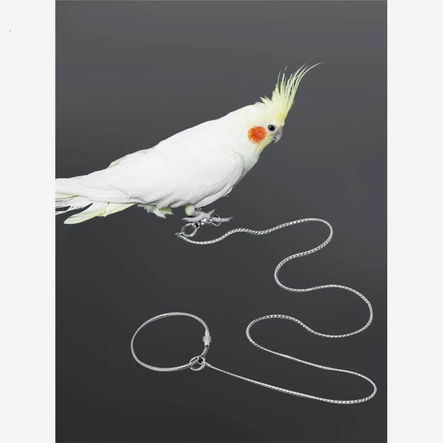 鹦鹉牵引绳脚炼脚环不伤脚玄凤虎皮小太阳外出遛鸟绳不锈钢鸟链子