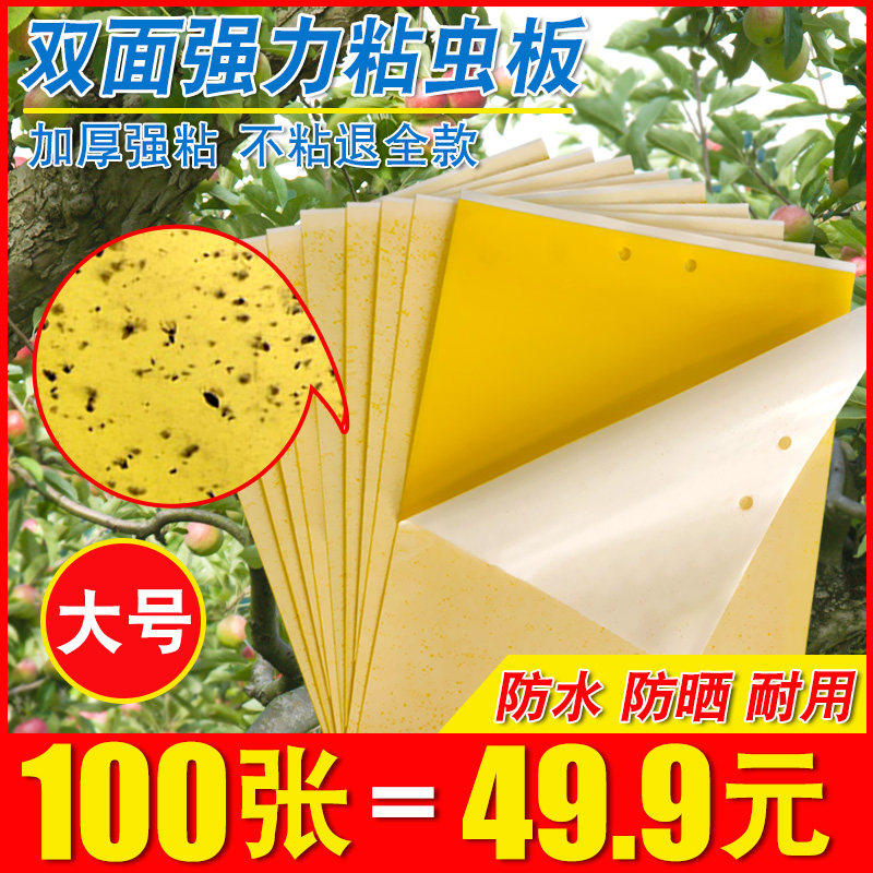 粘虫板黄板诱虫板纸贴双面黄色沾黏蚊子杀黑虫胶灭小飞虫果蝇大棚
