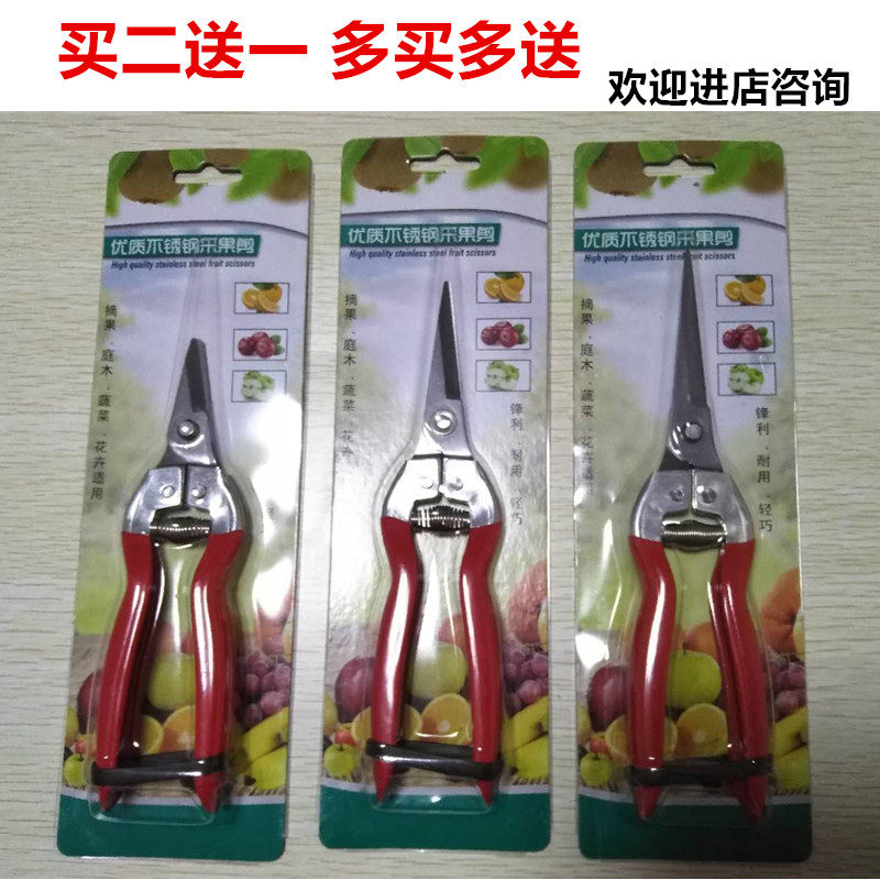 不锈钢采果剪稀果剪修枝剪花剪花椒柑橘子葡萄柚子采摘剪刀水果剪