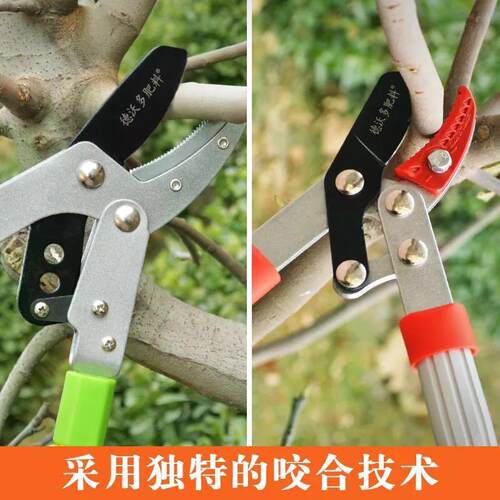 粗枝剪修枝剪修剪树枝果树剪刀高空剪园艺省力伸缩大力剪园林工具