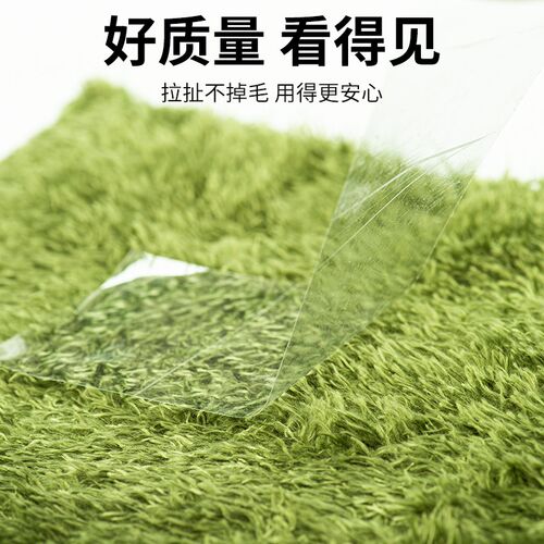 爬宠莫斯地毯角蛙垫材爬虫饲养箱雨林缸造景两栖饲养盒保湿地垫