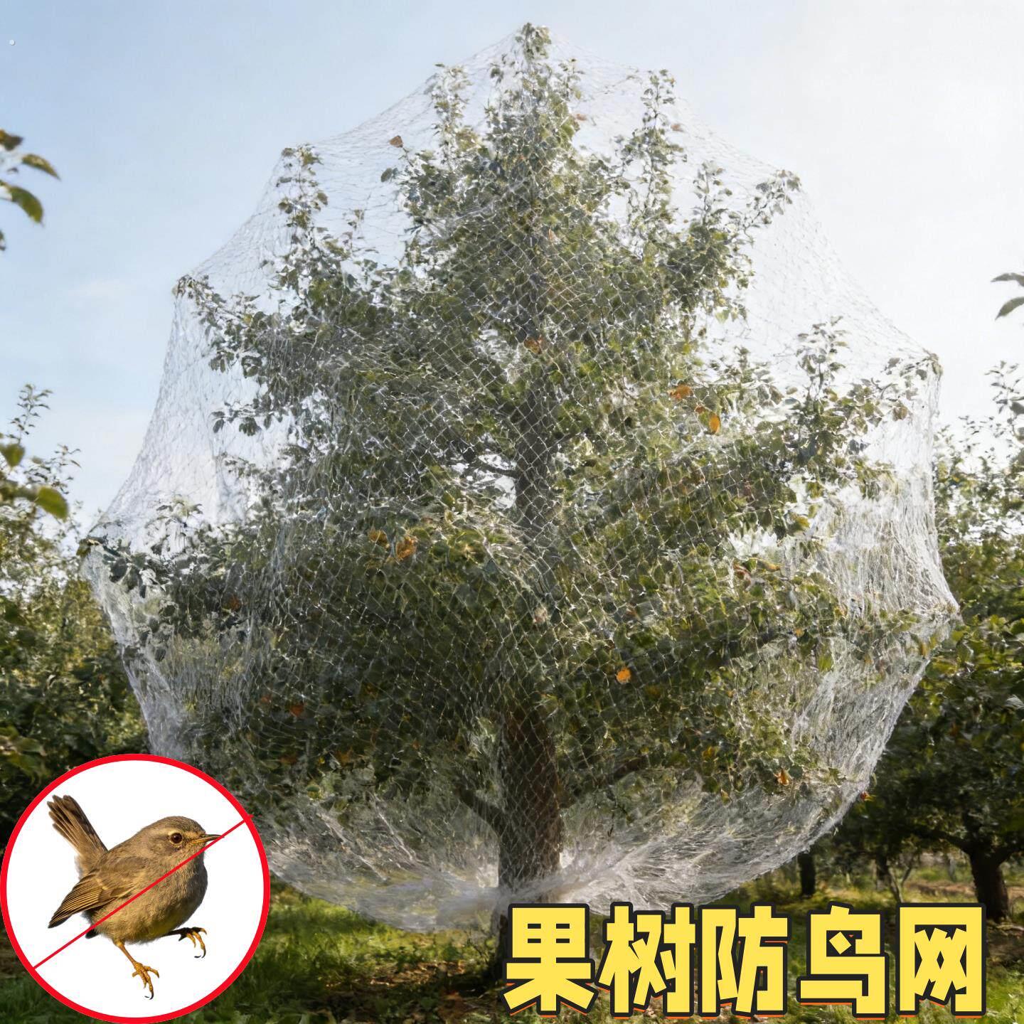 果树鸟防护网户外嘉拦宝果樱桃葡萄果园鸟用的网防麻雀防小鸟专用