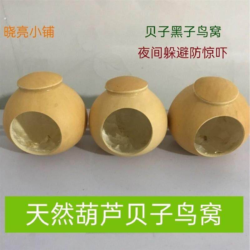 贝子鸟窝贝子鸟窝,葫芦鸟窝,黄雀,点子,红子,黑子黄腹山雀窝
